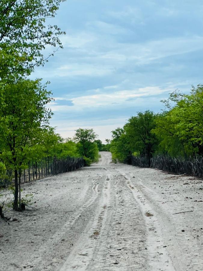 Omuthiya Ndeyapos Village Haven מראה חיצוני תמונה